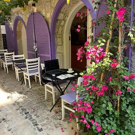 Selavi * Çeşme