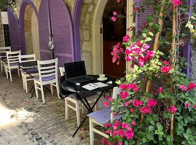 Selavi * Çeşme